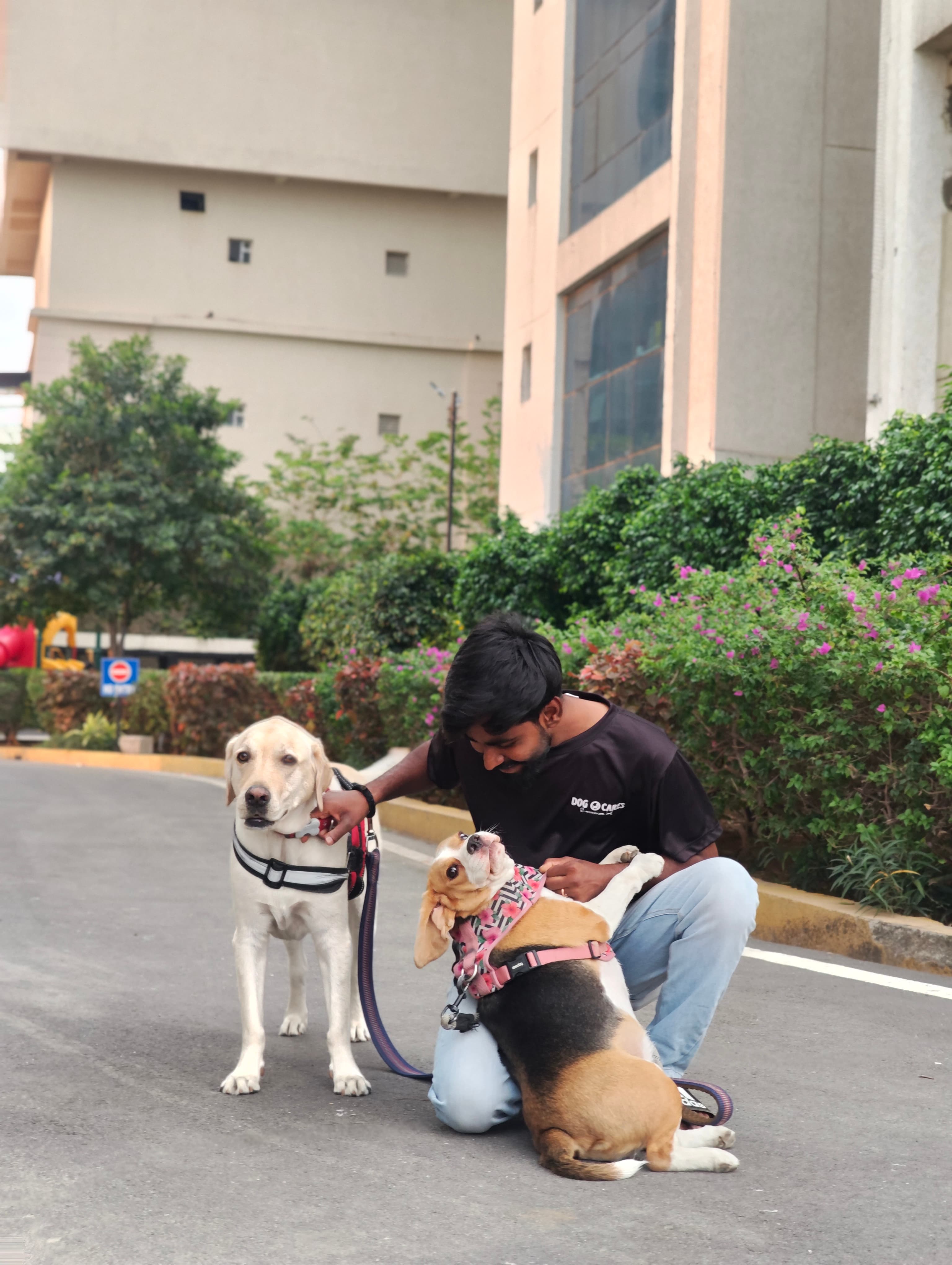 Dog care service - 5