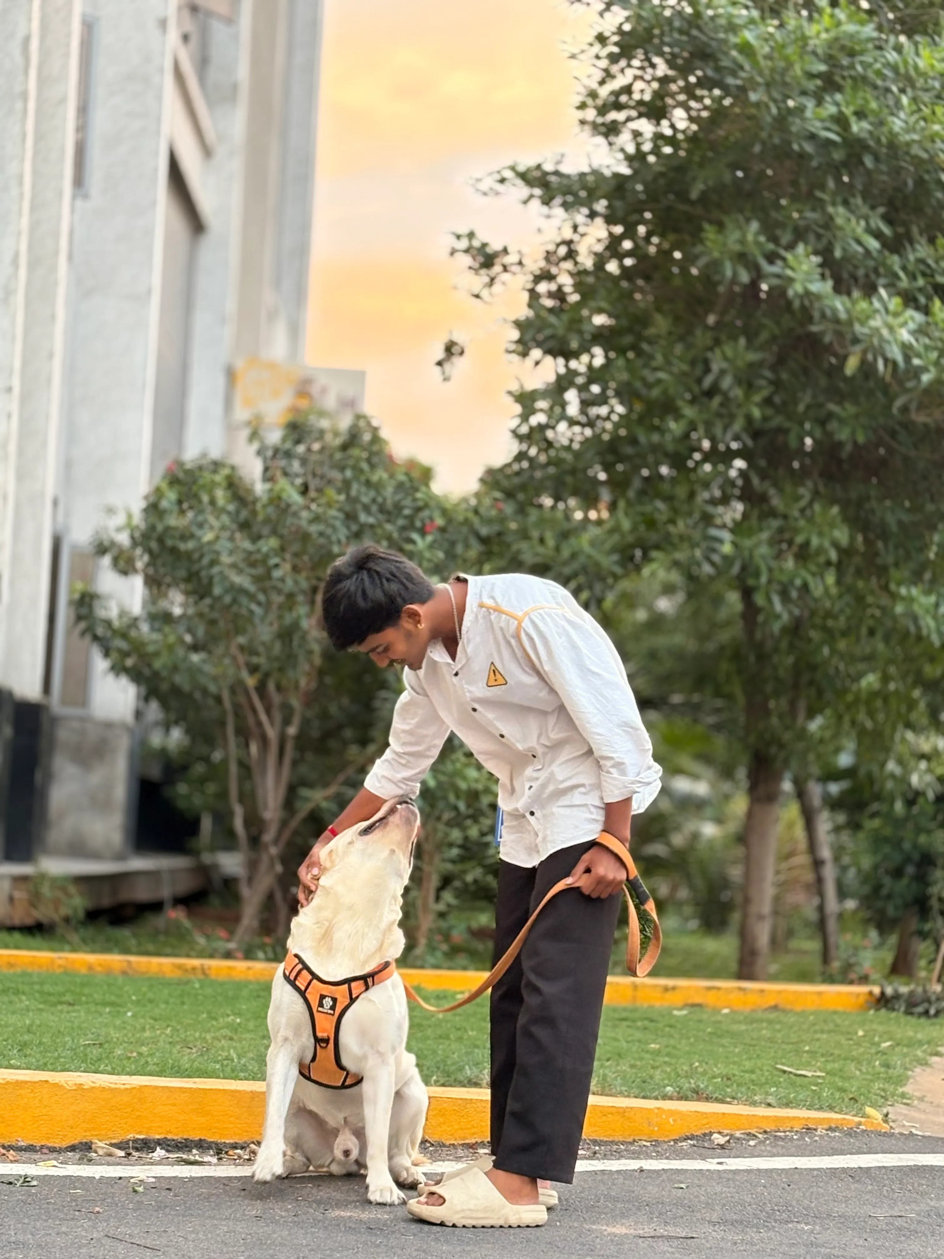Dog care service - image_006