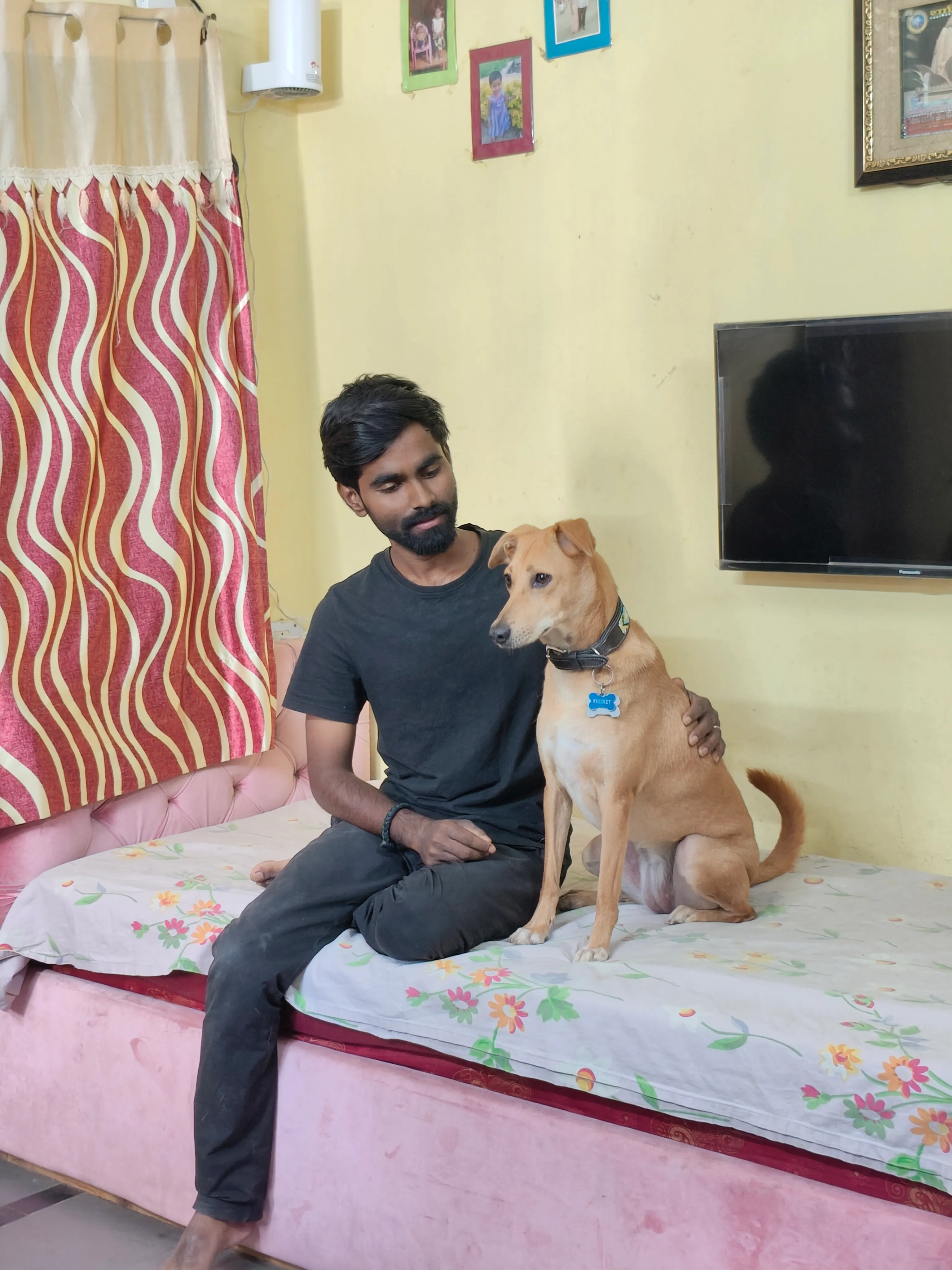 Dog care service - image_009