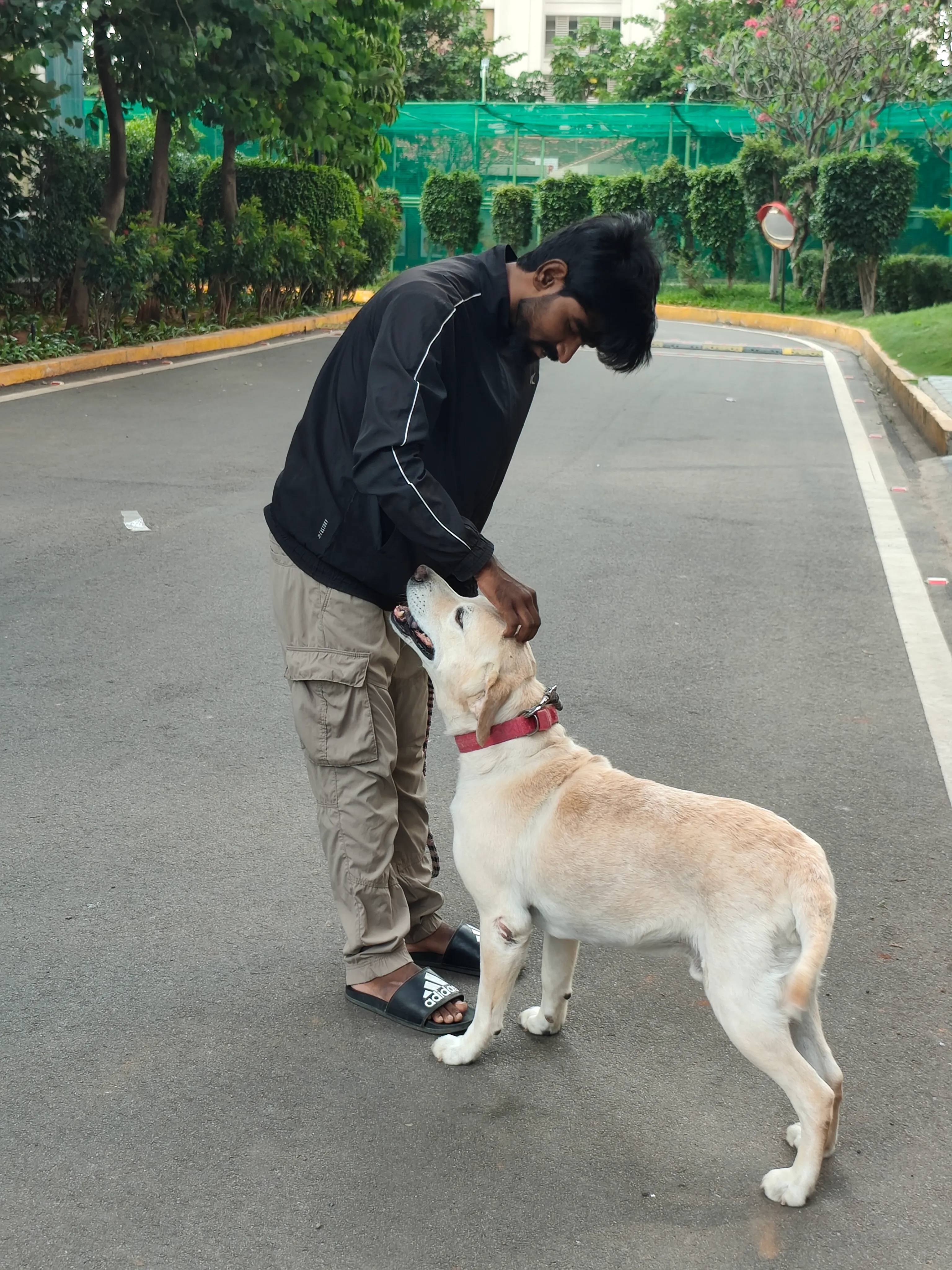 Dog care service - image_010