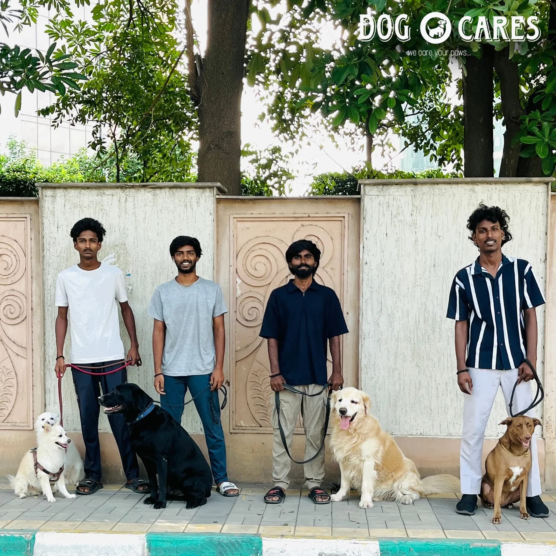 Dog care service - image_022