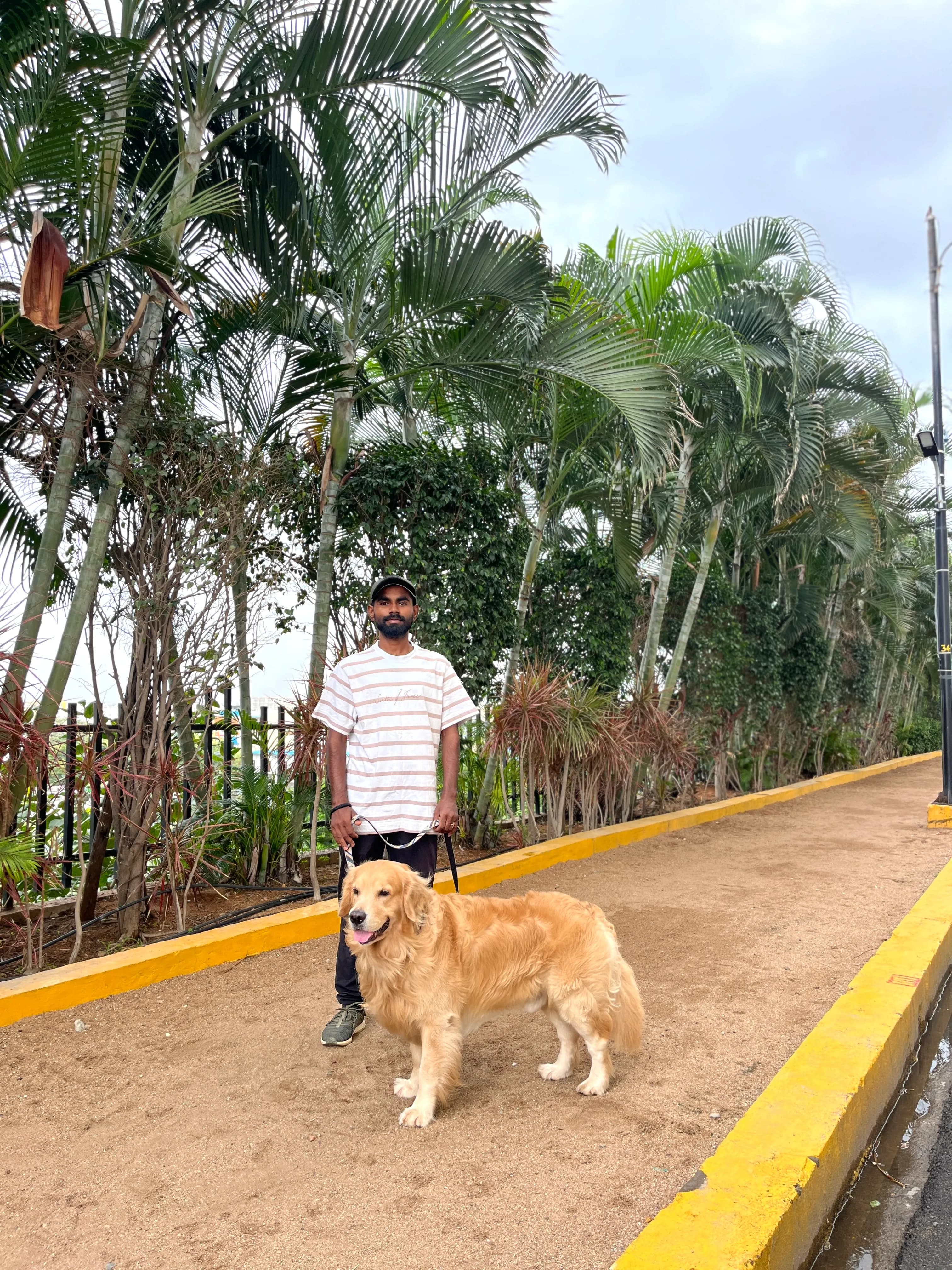 Dog care service - image_025