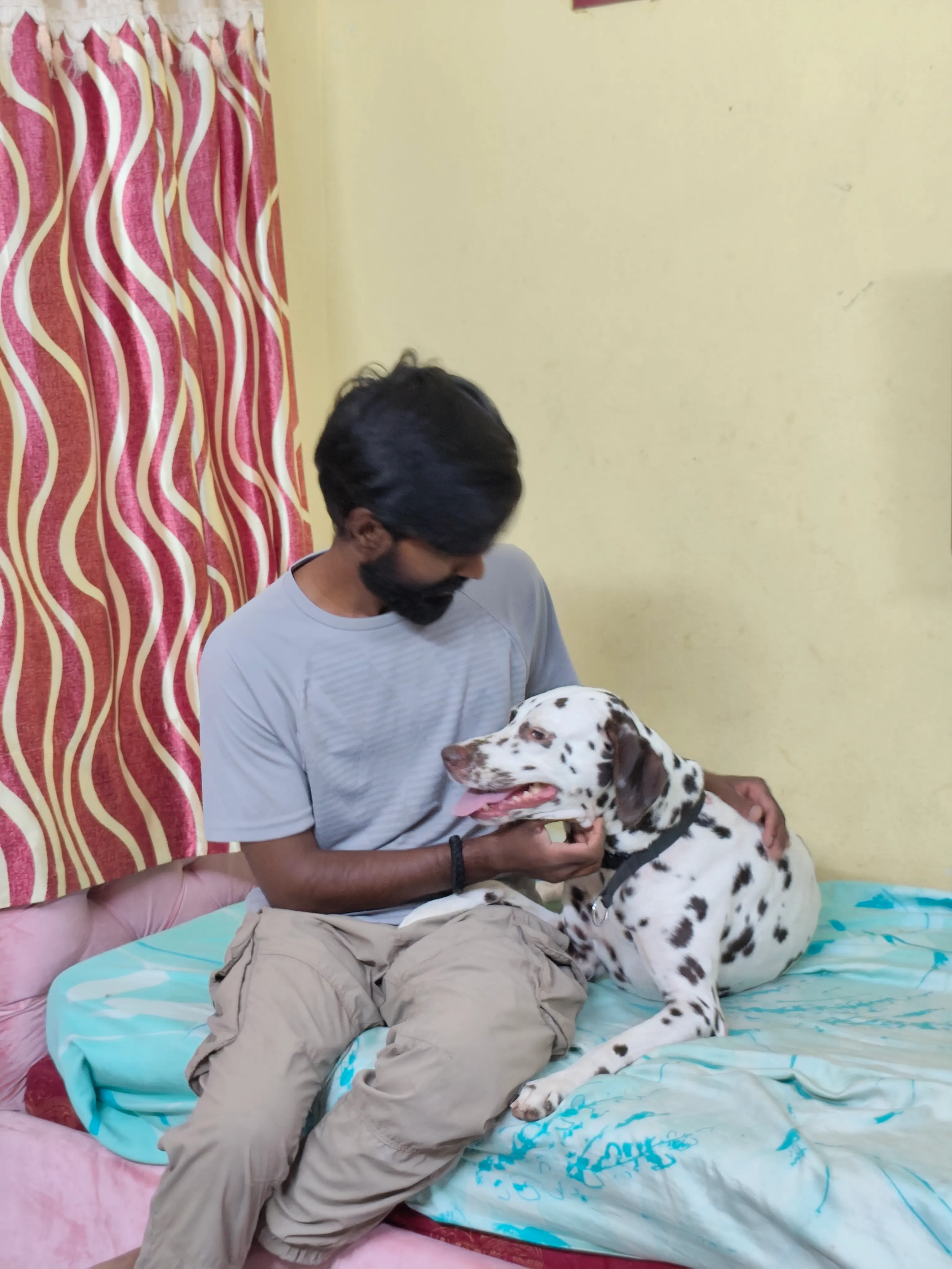 Dog care service - image_027
