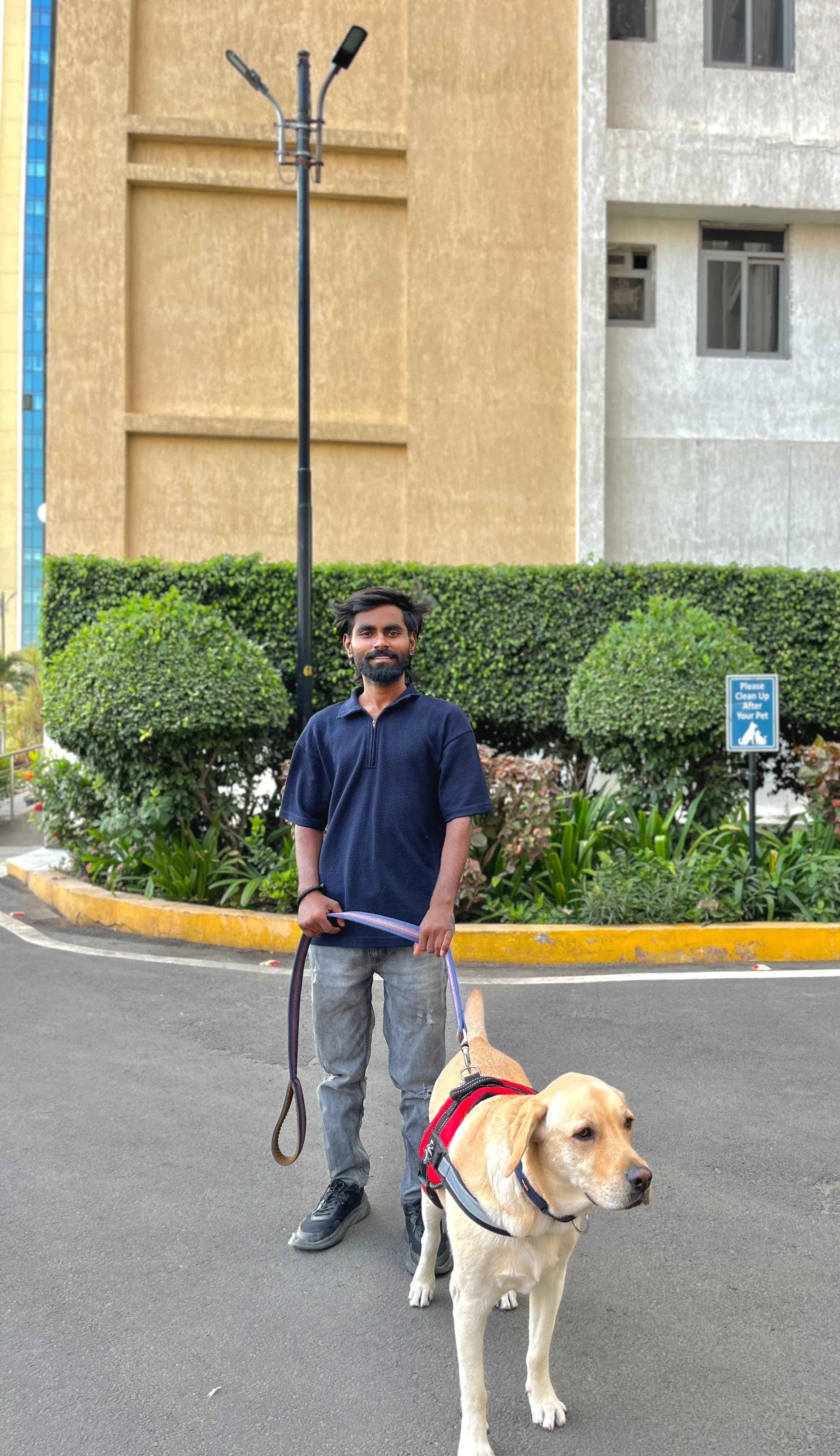 Dog care service - image_028
