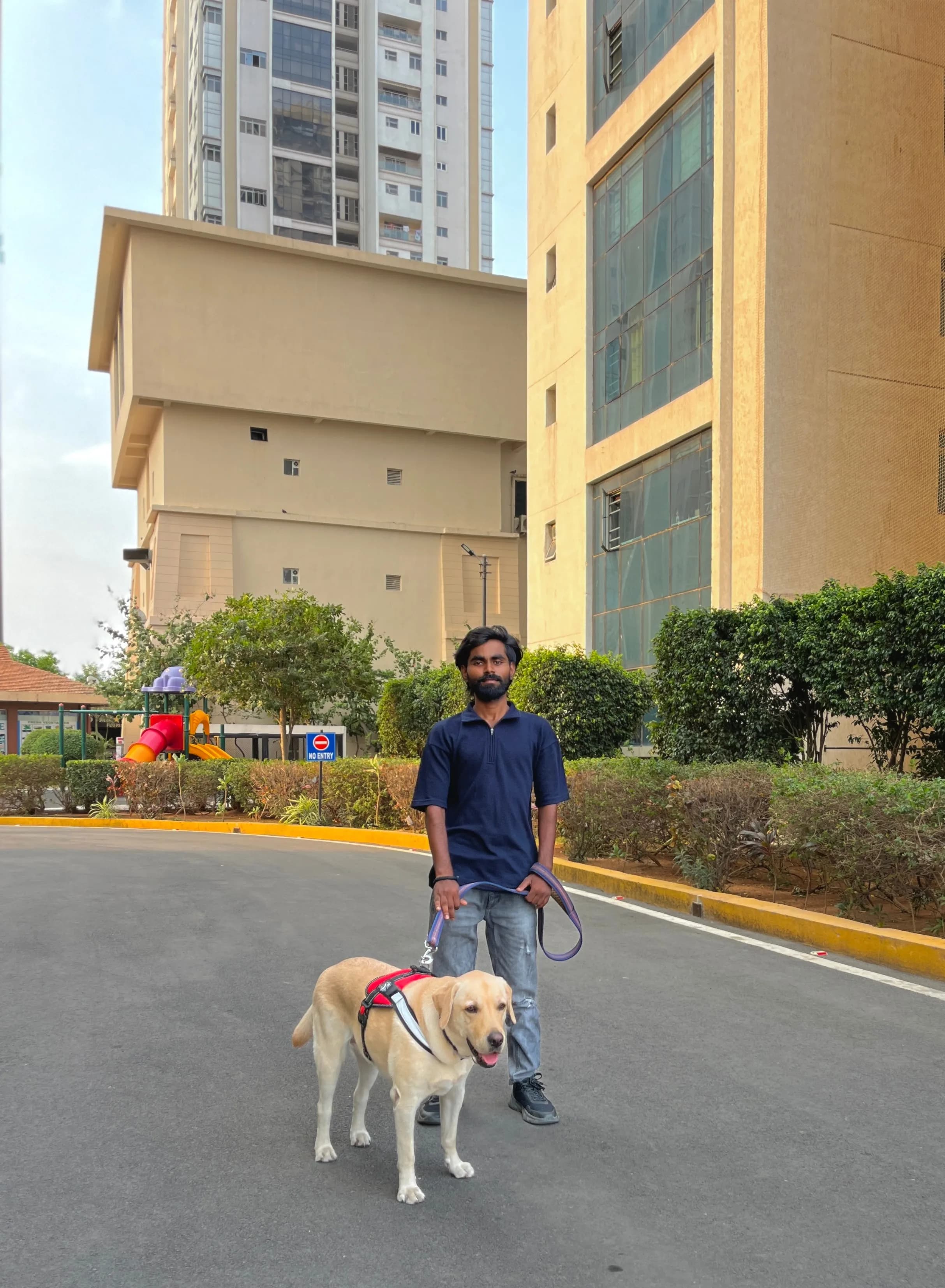 Dog care service - image_057