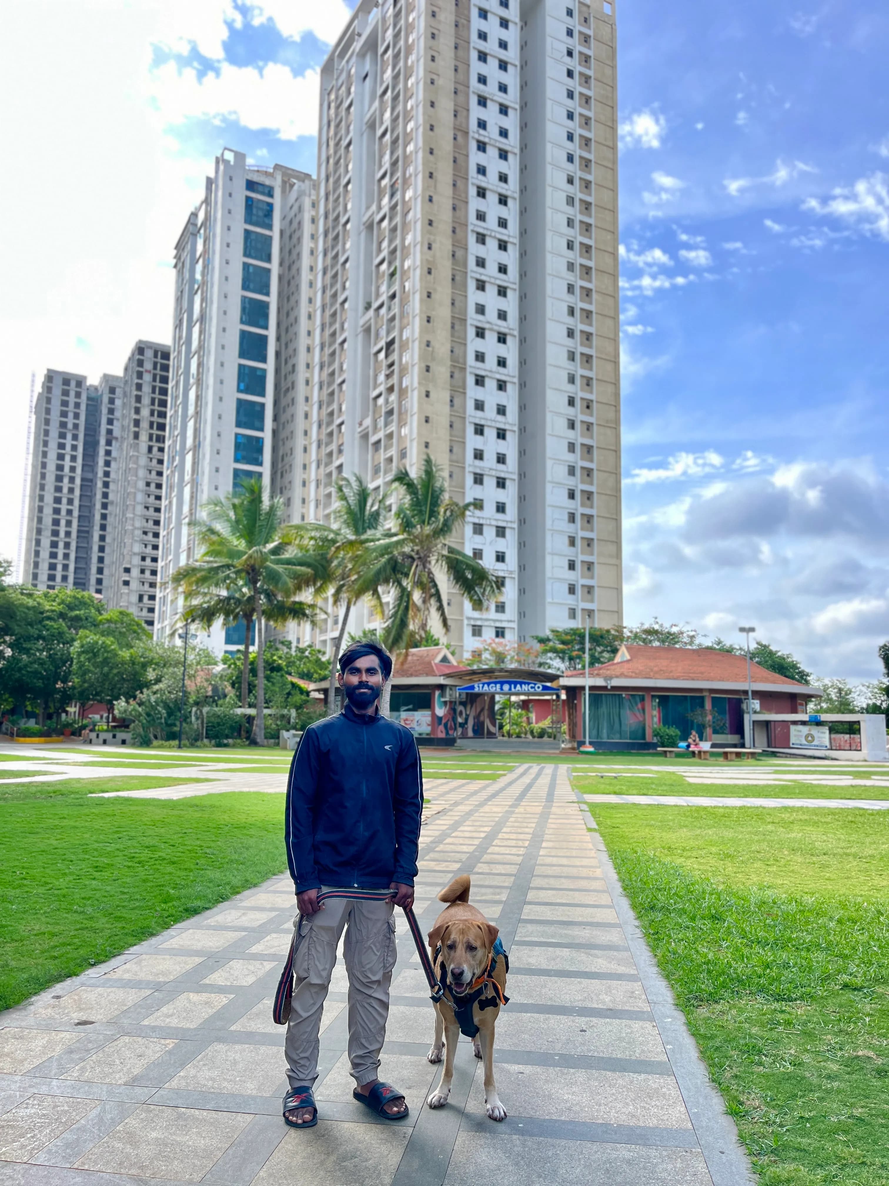 Dog care service - image_059