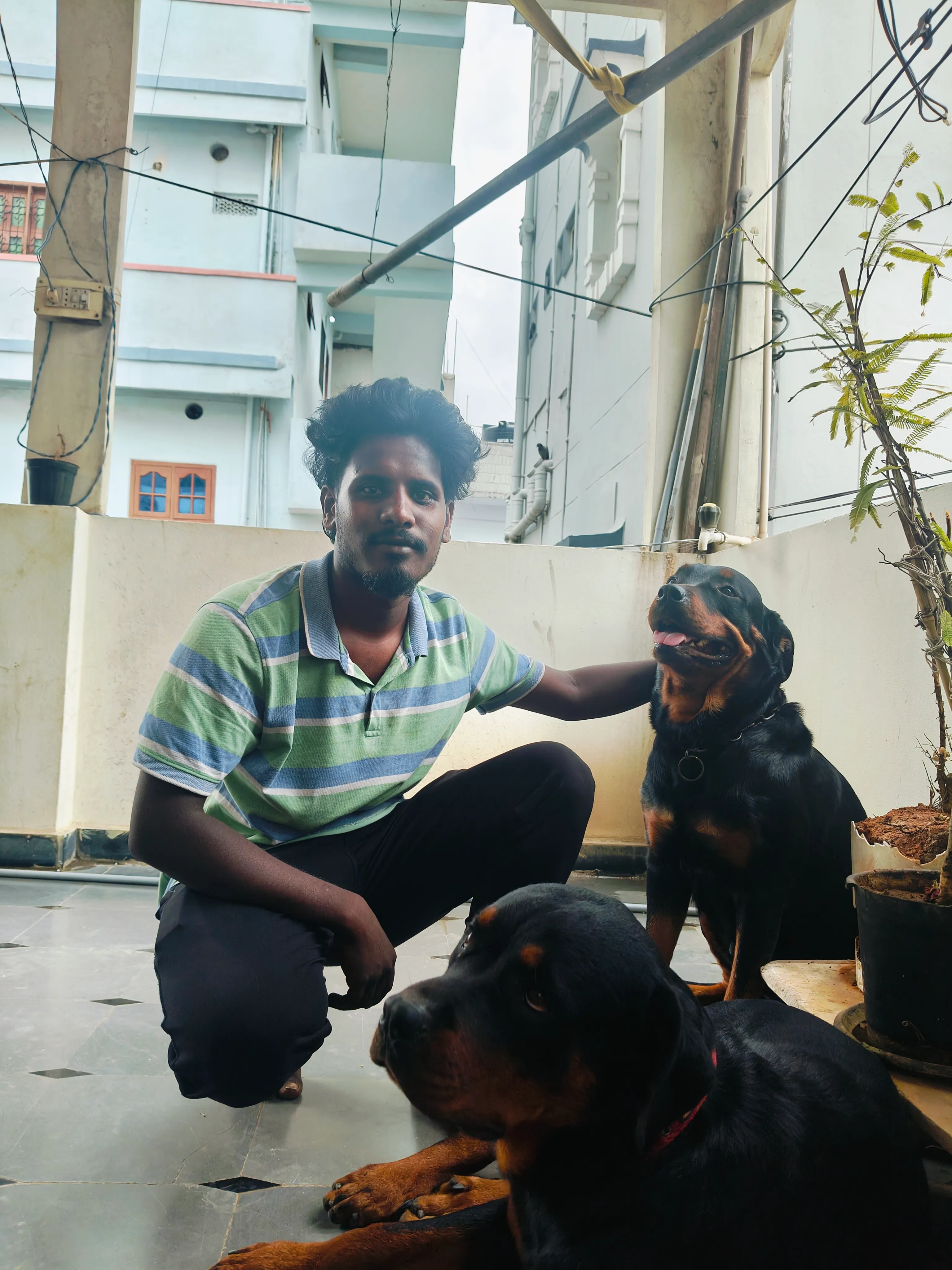 Dog care service - image_061