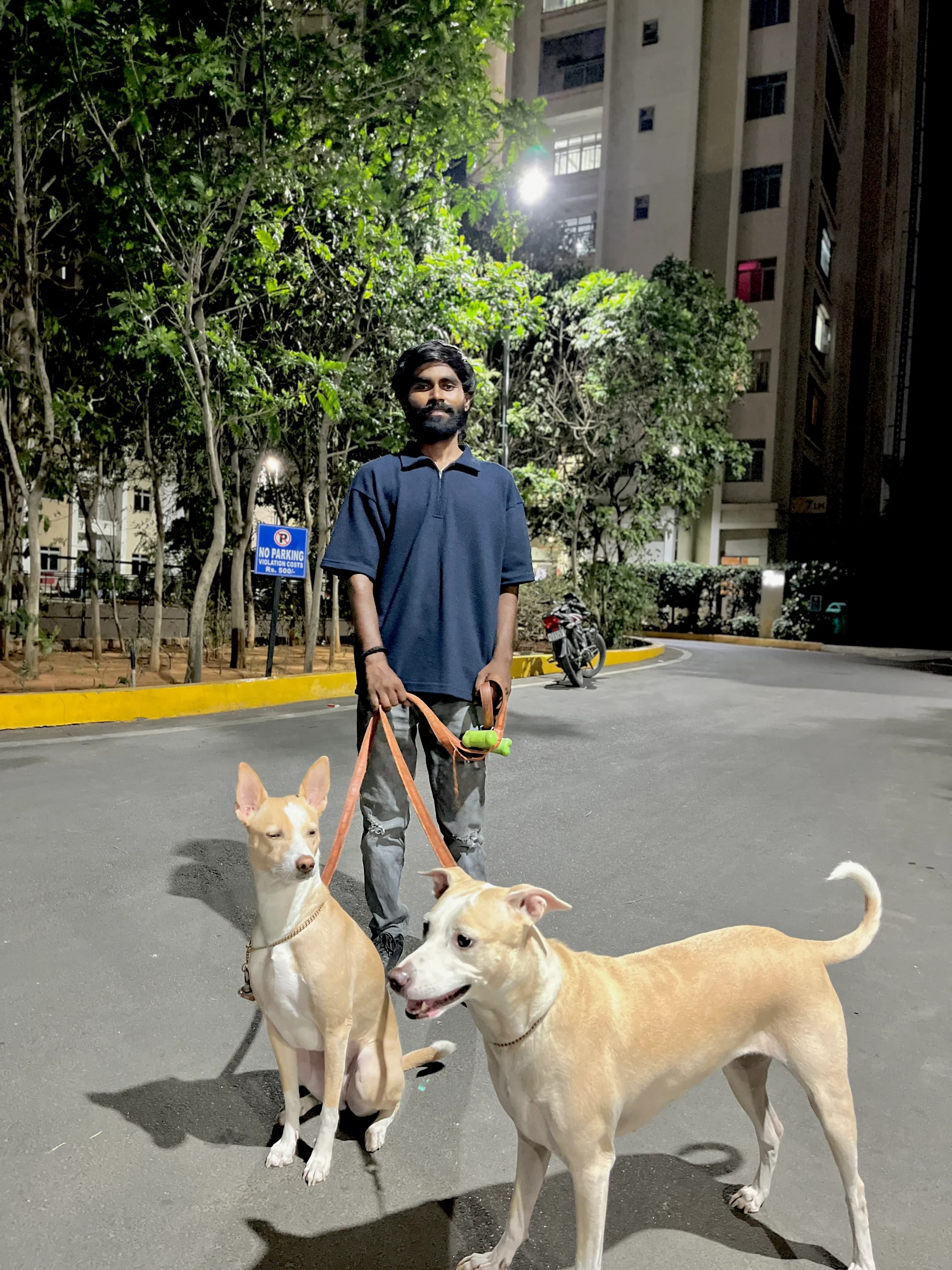 Dog care service - image_066