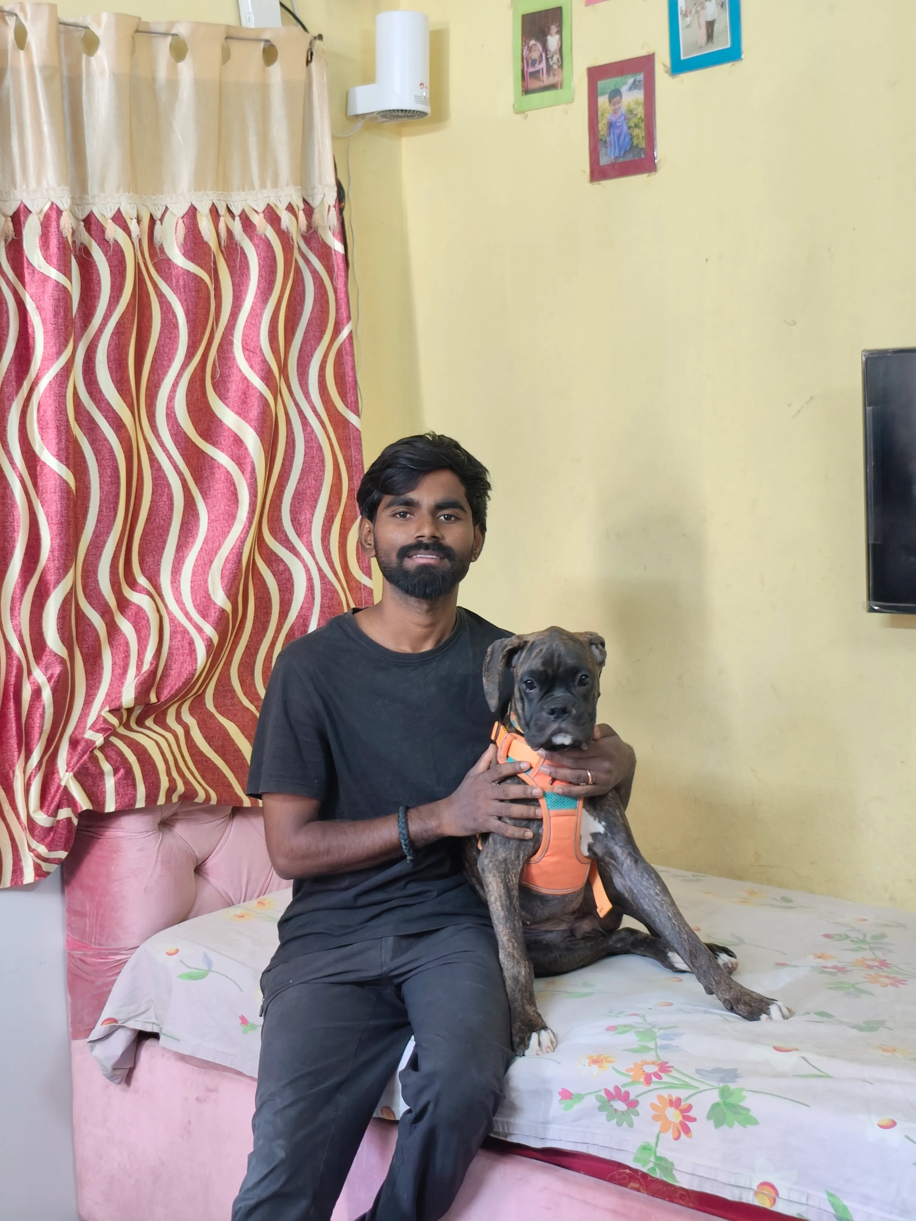 Dog care service - image_067